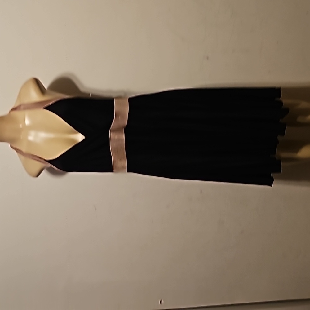 Size 1xlarge dress from Pink Eli